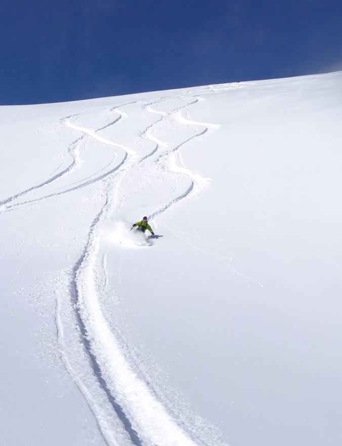 1380681_406392256156929_1569834309_n